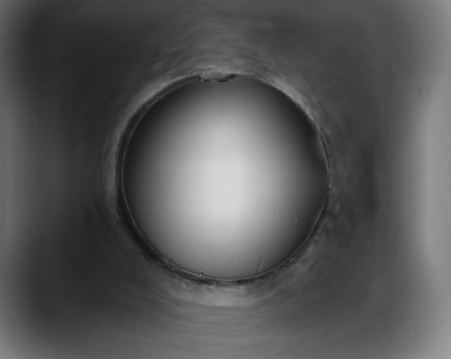 X0000088060008200705251352