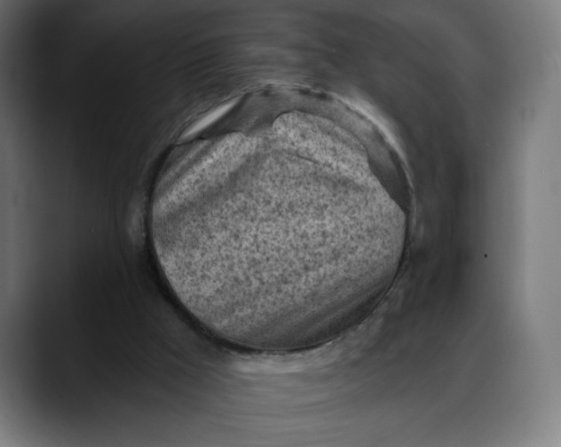 X0000088060009200705251352