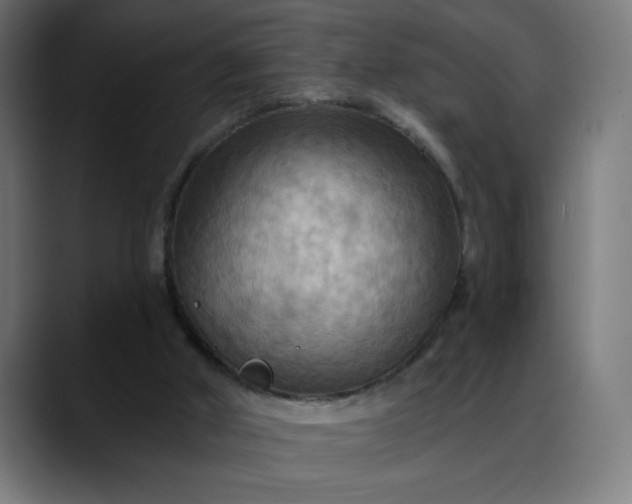 X0000088060010200705251352