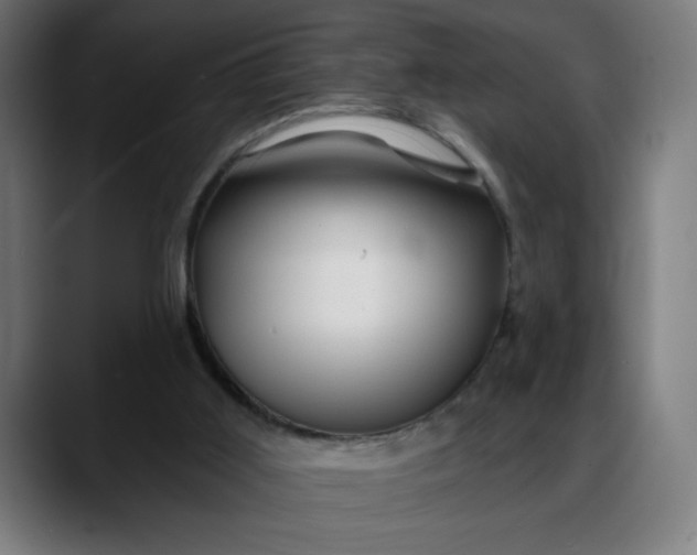 X0000088060011200705251352