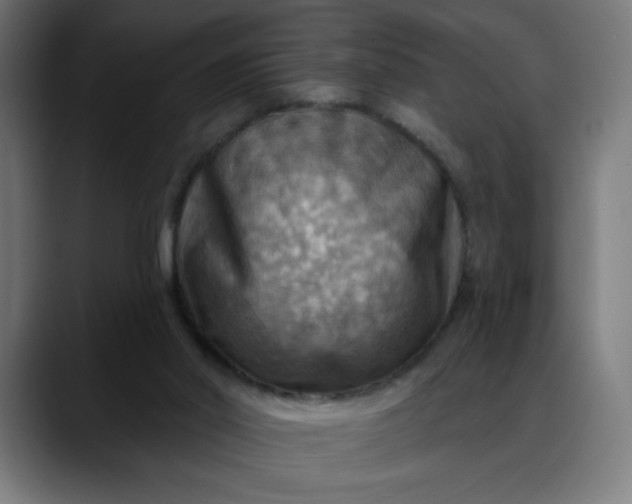X0000088060014200705251352