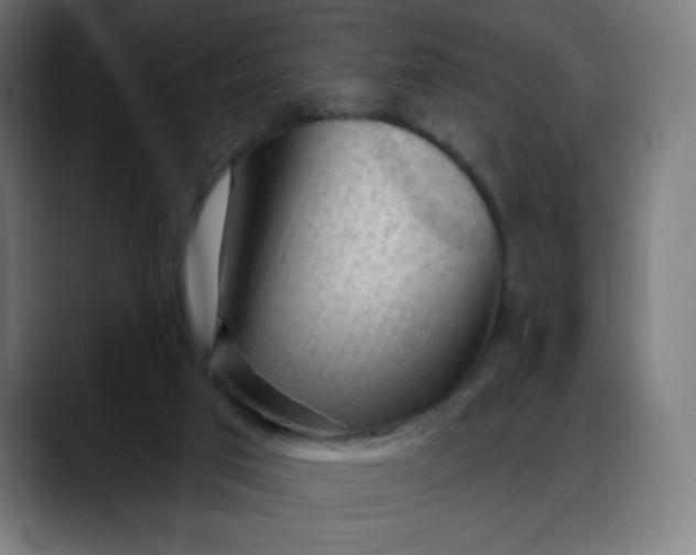 X0000088060017200705251351