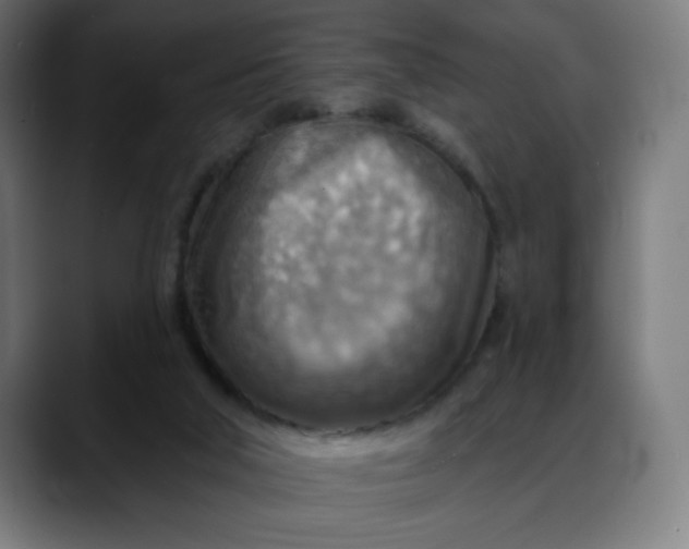 X0000088060018200705251351