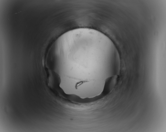 X0000088060019200705251351
