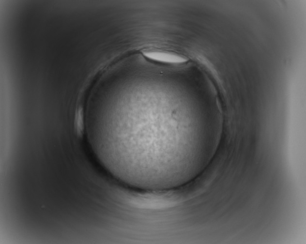 X0000088060020200705251351