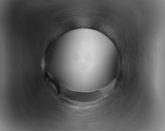 X0000088060021200705251351
