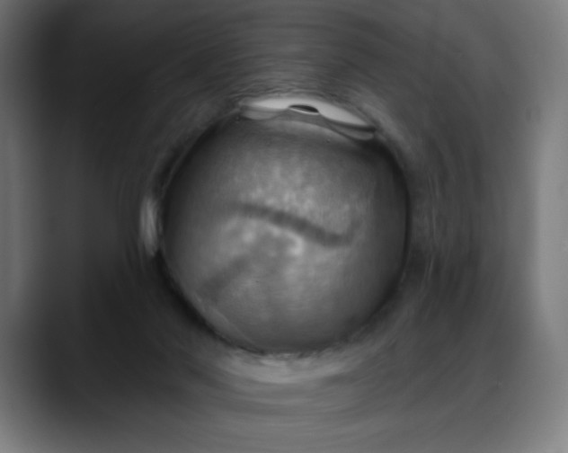 X0000088060022200705251351