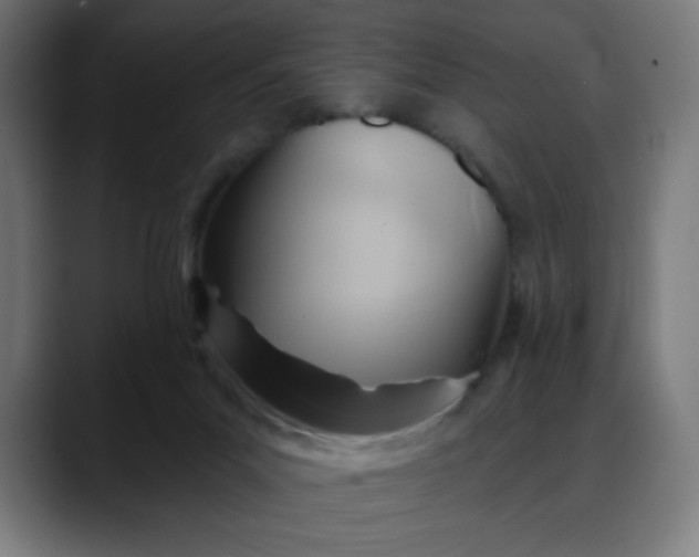 X0000088060023200705251351