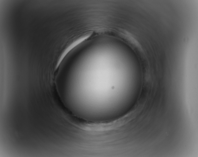 X0000088060025200705251351