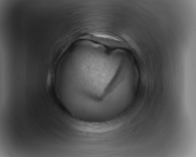 X0000088060026200705251351