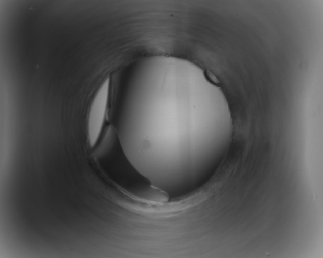 X0000088060027200705251351