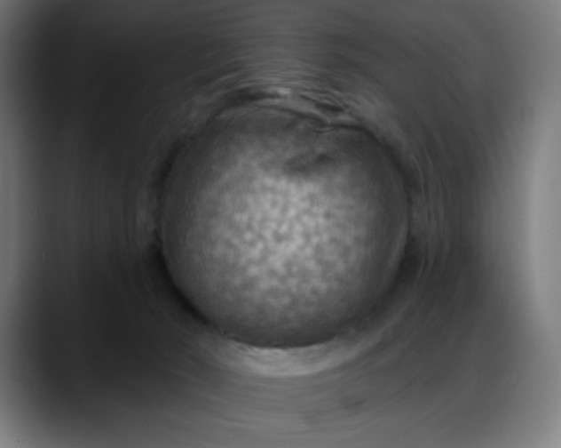 X0000088060030200705251351
