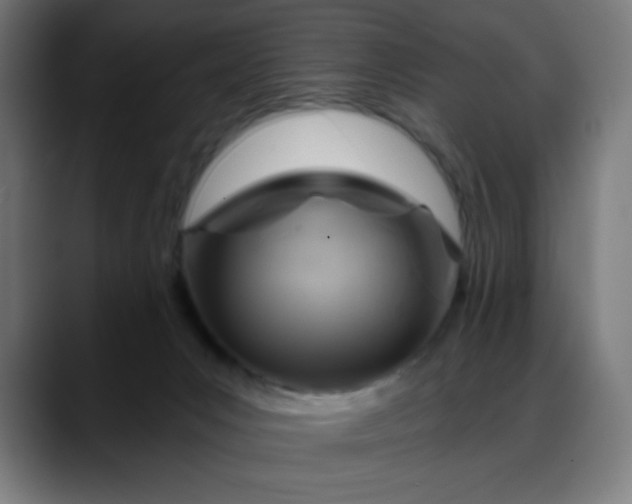 X0000088060031200705251351