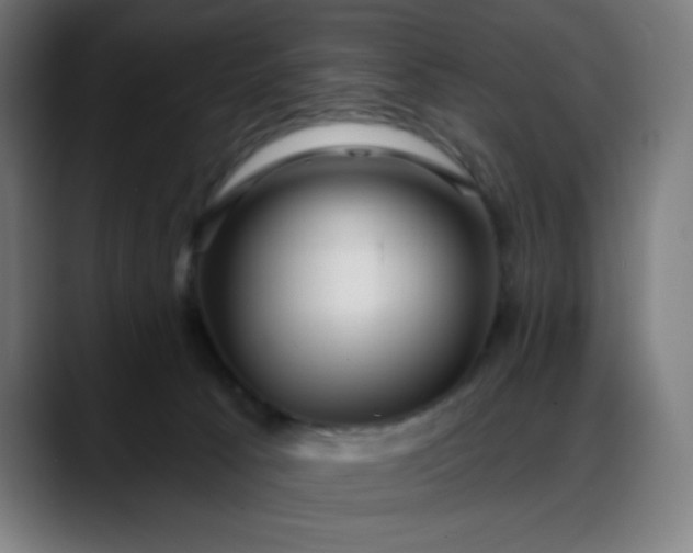 X0000088060033200705251351