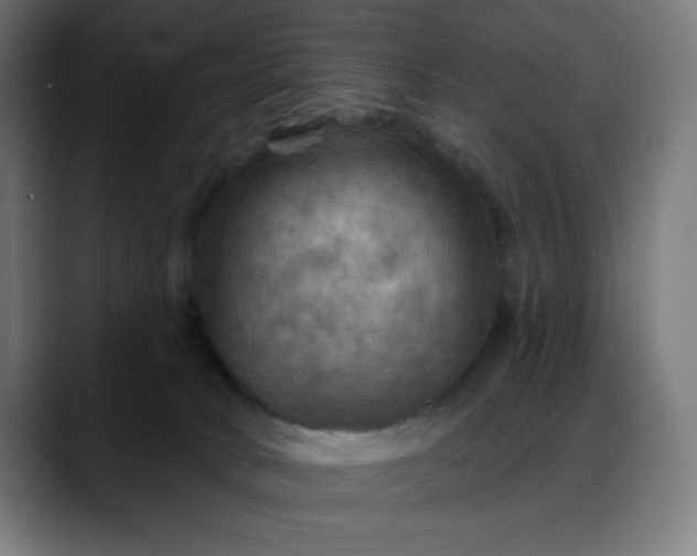 X0000088060034200705251351