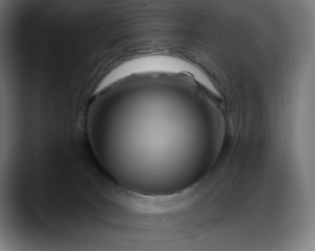 X0000088060035200705251351