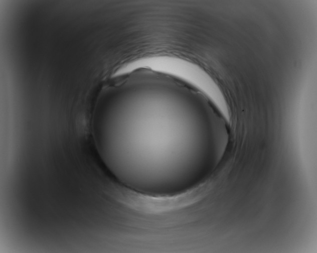 X0000088060039200705251351