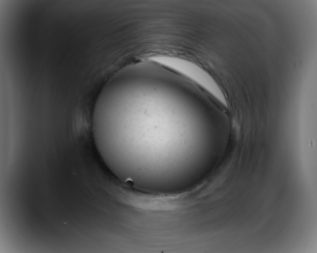 X0000088060040200705251351