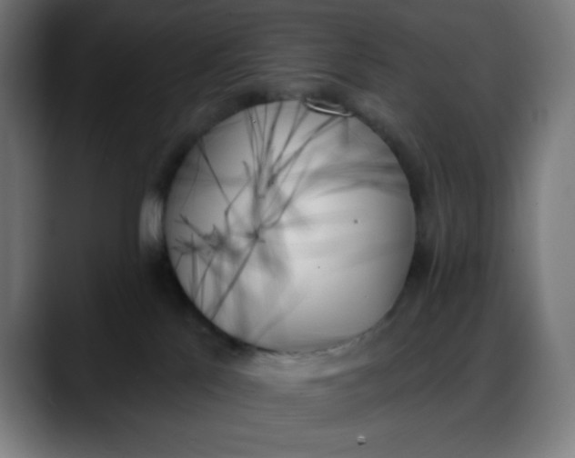 X0000088060041200705251351