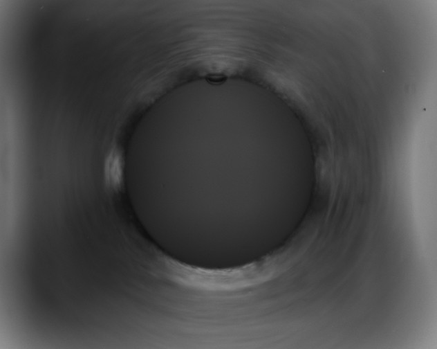 X0000088060042200705251351