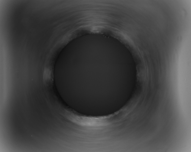 X0000088060044200705251351