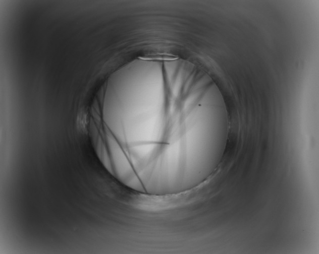 X0000088060045200705251351