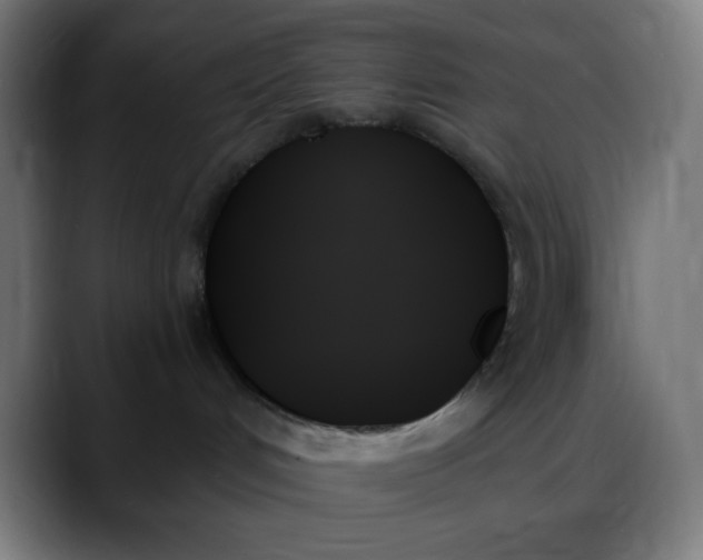 X0000088060048200705251351