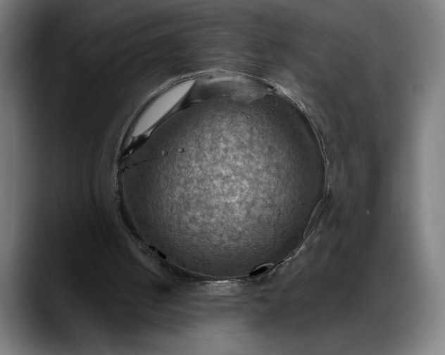 X0000088060050200705251350
