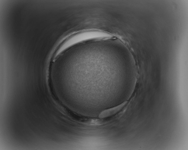 X0000088060056200705251351
