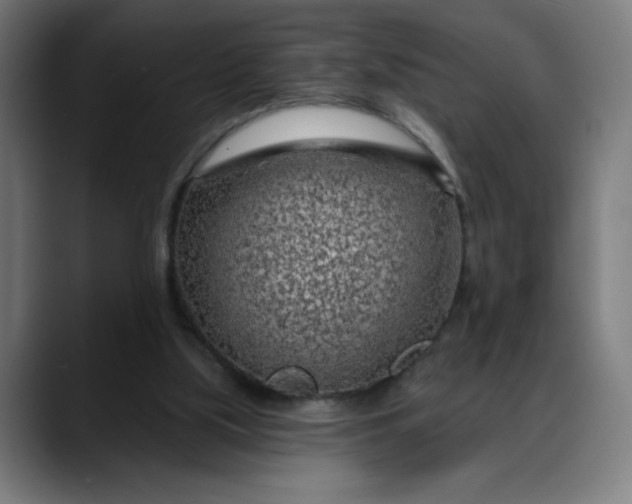 X0000088060059200705251351