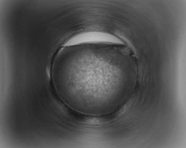 X0000088060062200705251351
