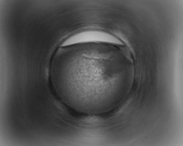 X0000088060063200705251351