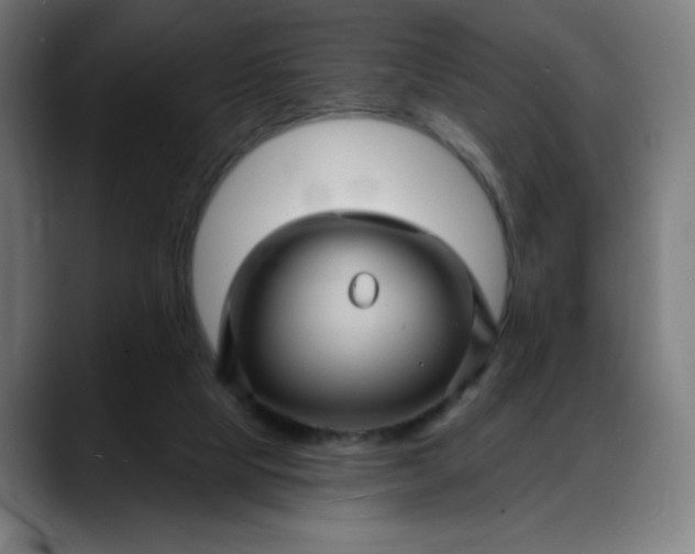 X0000088060065200705251351