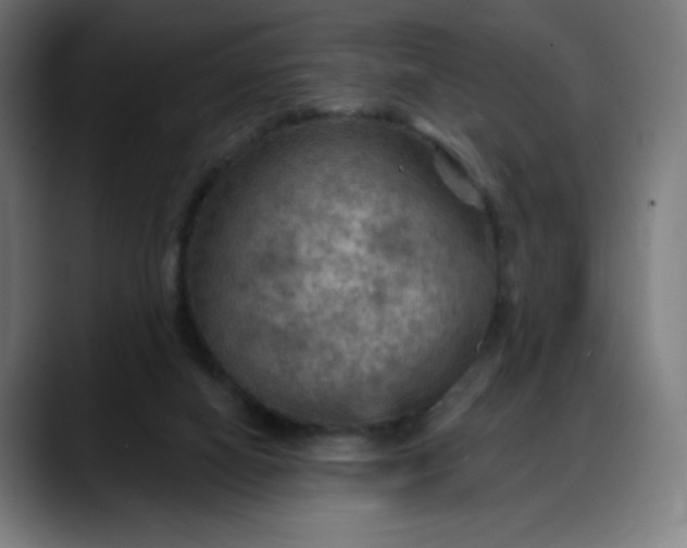 X0000088060066200705251351