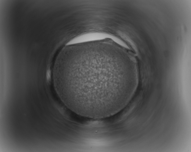 X0000088060067200705251351