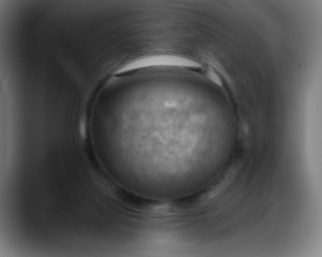 X0000088060068200705251351