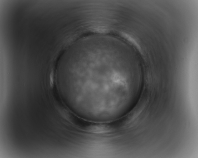 X0000088060069200705251351