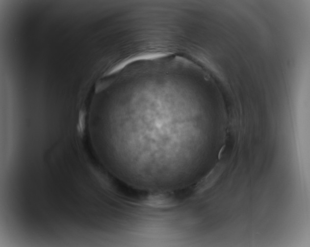 X0000088060070200705251351