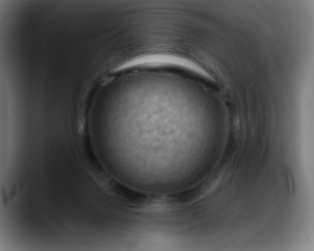 X0000088060072200705251351