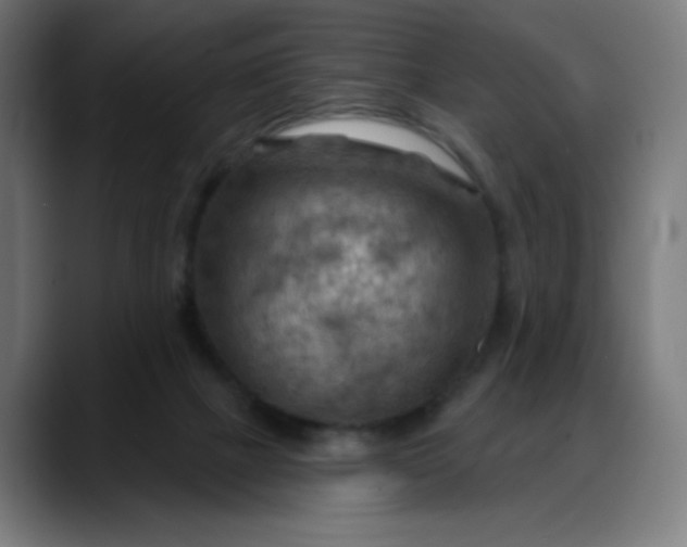 X0000088060073200705251351