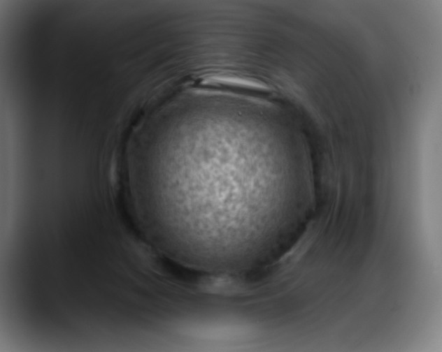 X0000088060074200705251351