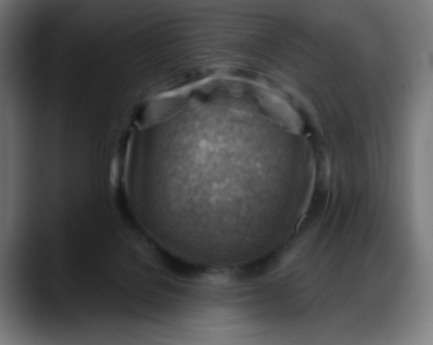 X0000088060076200705251351