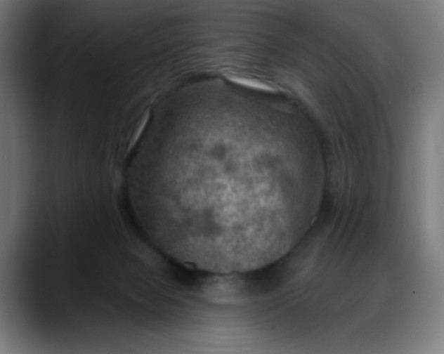 X0000088060077200705251351