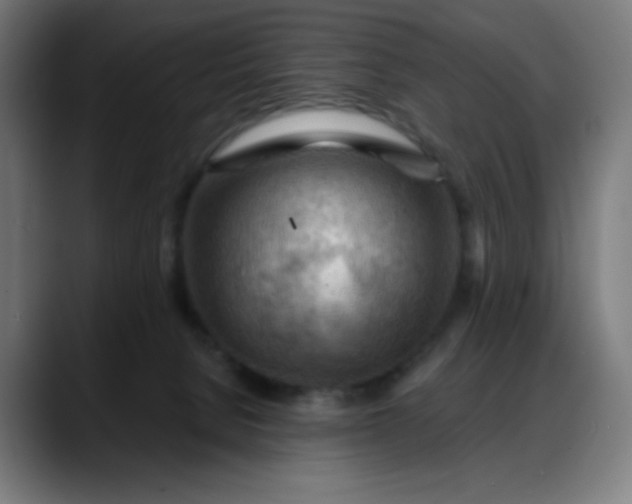 X0000088060080200705251351