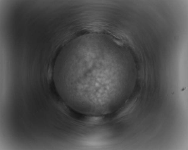 X0000088060081200705251351