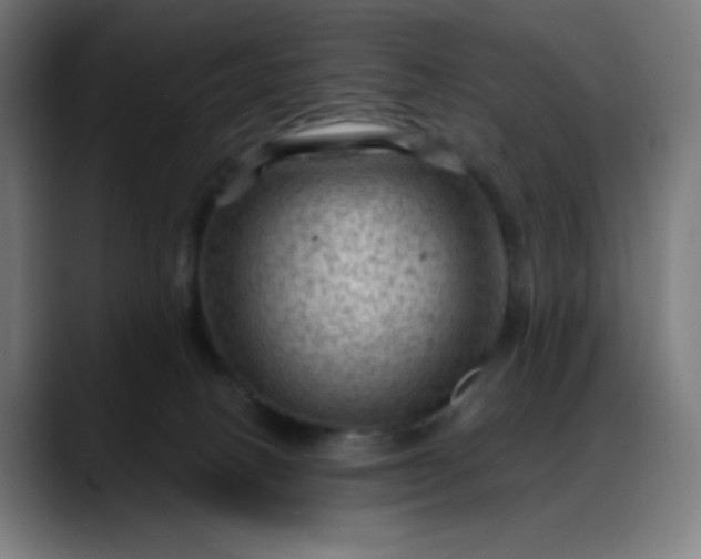 X0000088060082200705251351