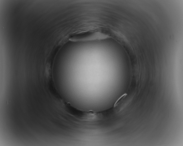 X0000088060083200705251351