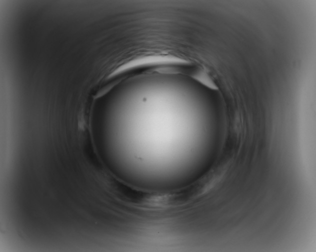 X0000088060084200705251351