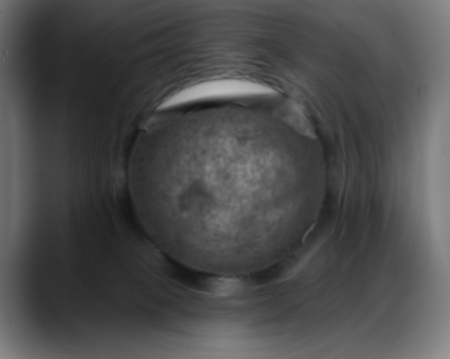 X0000088060085200705251351