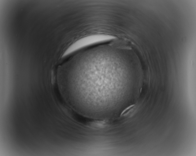 X0000088060086200705251351